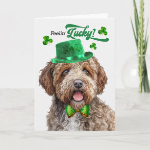 Cartes Pour Fêtes Annuelles Chien Lagotti se sent chanceux à la Saint-Patrick