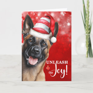 Cartes Pour Fêtes Annuelles Chien malinois belge déchaînant la joie Noël