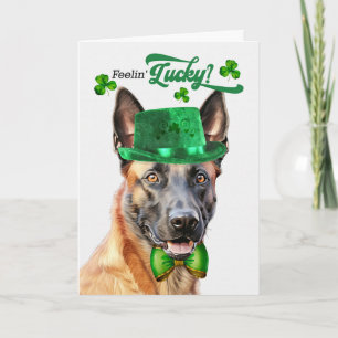 Cartes Pour Fêtes Annuelles Chien Malinois Belge Jour de Chance Saint Patrick