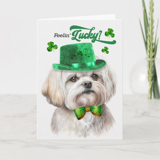 Cartes Pour Fêtes Annuelles Chien maltais Feelin' Lucky St Patrick's Day (Devant)