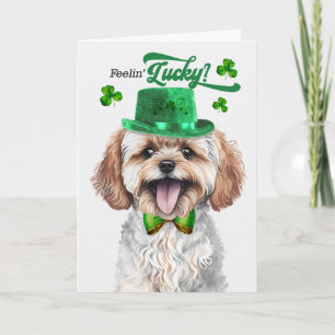 Cartes Pour Fêtes Annuelles Chien Maltipoo se sent chanceux à la Saint-Patrick