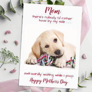 Cartes Pour Fêtes Annuelles Chien Maman Funny Animaux de compagnie Photo Fête 