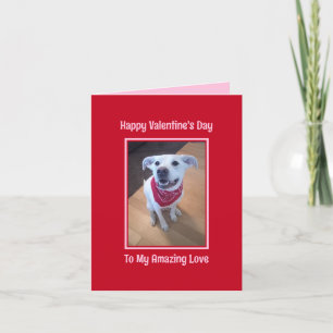 Cartes Pour Fêtes Annuelles Chien mignon Heureuse Sainte-Valentin souriant rou