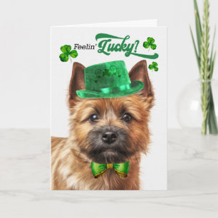 Cartes Pour Fêtes Annuelles Chien Norwich Terrier Se Sentant Chanceux St Patri