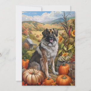 Cartes Pour Fêtes Annuelles Chien pasteur anatolien Récolte d'automne Thanksgi
