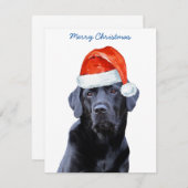 Cartes Pour Fêtes Annuelles Chien père Noël Black Labrador (Devant / Derrière)