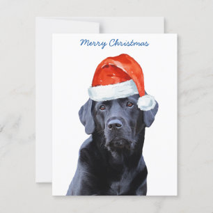Cartes Pour Fêtes Annuelles Chien père Noël Black Labrador