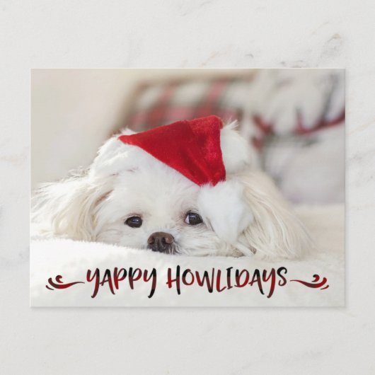 Cartes Pour Fêtes Annuelles Chien Photo Red Buffalo Check Script YAPPY HOWLIDA (Devant)