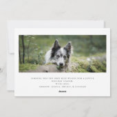 Cartes Pour Fêtes Annuelles Chien photo Sloppy Kisses Christmas Holiday Card (Dos)