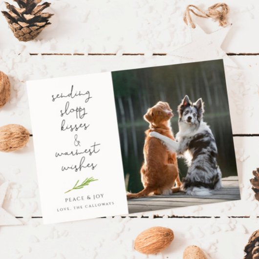 Cartes Pour Fêtes Annuelles Chien photo Sloppy Kisses Christmas Holiday Card