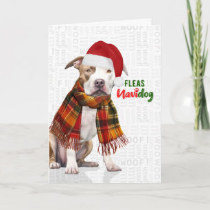 Cartes Pour Fêtes Annuelles Chien Pit Bull Adorable Puces Navidog Noël
