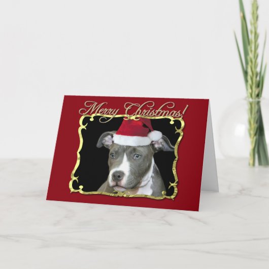 Cartes Pour Fêtes Annuelles Chien pitbull de Noël (Devant)