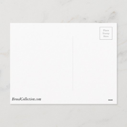 Cartes Pour Fêtes Annuelles Chien Plat-Enduit de chien d'arrêt conduisant la (Dos)