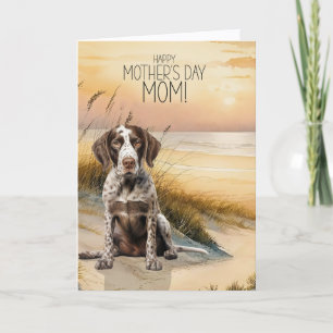 Cartes Pour Fêtes Annuelles Chien Pointer Allemand Plage au Coucher de Soleil
