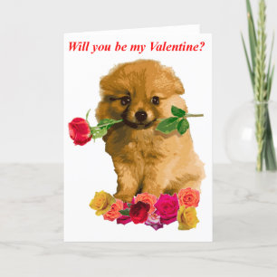 Cartes Pour Fêtes Annuelles Chien Poméranien Be My Valentine Roses
