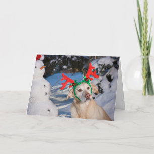 Cartes Pour Fêtes Annuelles Chien portant des Antlers de rennes