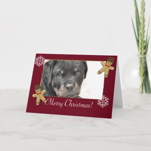 Cartes Pour Fêtes Annuelles Chien Rottweiler (Devant)