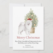 Cartes Pour Fêtes Annuelles Chien Samoyède et arbre de Noël (Devant)