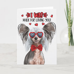 Cartes Pour Fêtes Annuelles Chien sans cheveux chassé chinois qui t'aime Valen