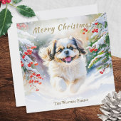 Cartes Pour Fêtes Annuelles Chien Shih Tzu En hiver Neige Joyeux Noël