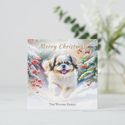 Cartes Pour Fêtes Annuelles Chien Shih Tzu En hiver Neige Joyeux Noël (Debout devant)