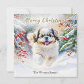 Cartes Pour Fêtes Annuelles Chien Shih Tzu En hiver Neige Joyeux Noël (Devant)