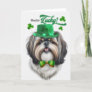 Cartes Pour Fêtes Annuelles Chien Shih Tzu se sentant chanceux St Patrick's Da
