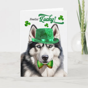 Cartes Pour Fêtes Annuelles Chien sibérien Husky Feelin' Lucky St Patrick's Da