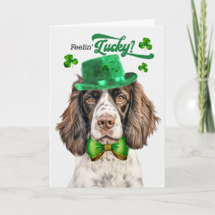 Cartes Pour Fêtes Annuelles Chien Springer Anglais Chanceux St Patrick's Day