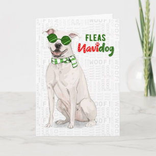 Cartes Pour Fêtes Annuelles Chien taureau blanc Funny Fleas Navidog Noël