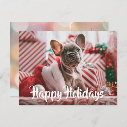 Cartes Pour Fêtes Annuelles Chien-taureaux français de Noël parmi les présents (Devant / Derrière)