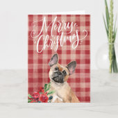 Cartes Pour Fêtes Annuelles Chien-taureaux français Rouge Plaid Noël (Devant)
