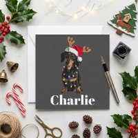 Chien Teckel Chapeau de Père Noël Lumières de Noël