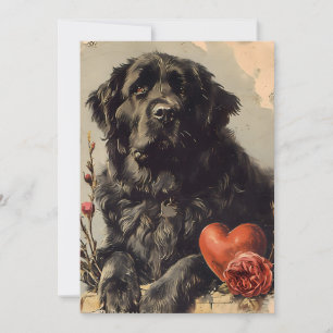 Cartes Pour Fêtes Annuelles Chien Terre-Neuve Saint-Valentin vintage 