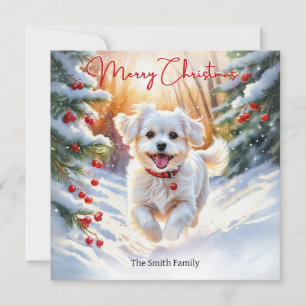 Cartes Pour Fêtes Annuelles Chien Terrier Maltais en Hiver Joyeux Noël