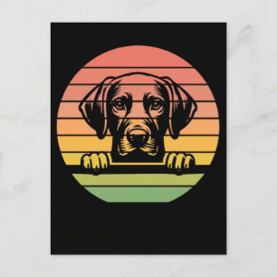 Cartes Pour Fêtes Annuelles Chien Vizsla regardant le coucher du soleil vintag