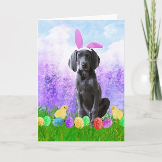 Cartes Pour Fêtes Annuelles Chien Weimaraner avec oeufs de Pâques Poussins lap (Devant)