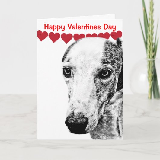 Cartes Pour Fêtes Annuelles Chien Whippet (Devant)