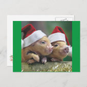 Cartes Pour Fêtes Annuelles Chiens À Santa Hat (Devant / Derrière)