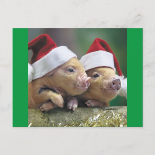 Cartes Pour Fêtes Annuelles Chiens À Santa Hat (Devant)