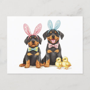 Cartes Pour Fêtes Annuelles Chiens Bunny Oreilles de Pâques Rottweiler
