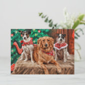 Cartes Pour Fêtes Annuelles Chiens célébrant Noël (Debout devant)