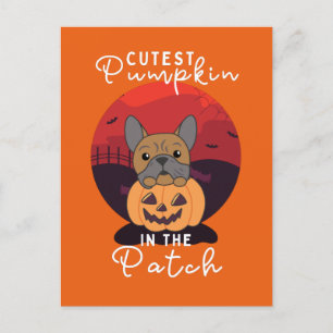 Cartes Pour Fêtes Annuelles Chiens Citrouilles Bulldog Citrouille Cutest Dans
