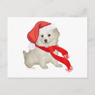 Cartes Pour Fêtes Annuelles Chiens d'assistance du Père Noël Puppy Poodle / Bi