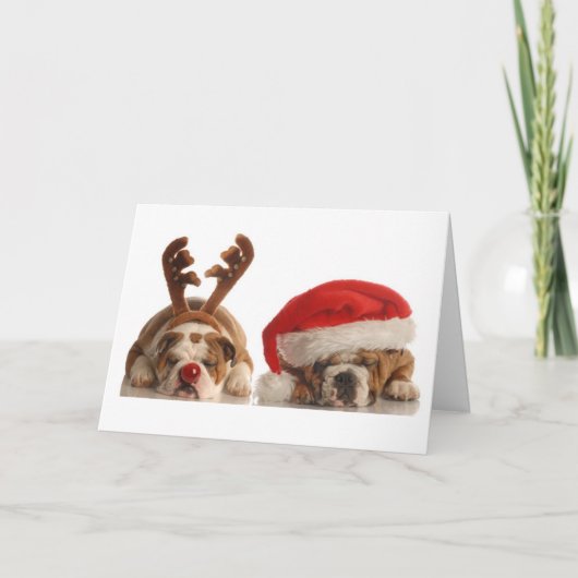 Cartes Pour Fêtes Annuelles Chiens de Noël à Santa Hats (Devant)