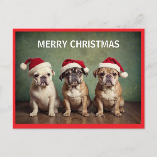 Cartes Pour Fêtes Annuelles Chiens de Noël joyeux (Devant)