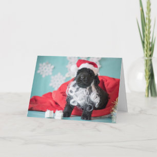 Cartes Pour Fêtes Annuelles Chiens de Noël Père Noël