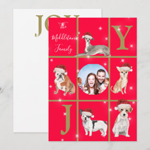 Cartes Pour Fêtes Annuelles Chiens de Noël Photo Fun Red Holiday Card