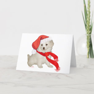 Cartes Pour Fêtes Annuelles Chiens de Noël pour aider le Père Noël Caniche / B