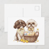 Cartes Pour Fêtes Annuelles Chiens de Pâques Chih Tzu (Devant / Derrière)